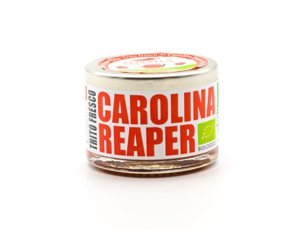 CAROLINA REAPER FRESCO com suas cores e fragrâncias prontas para ir parar na sua mesa